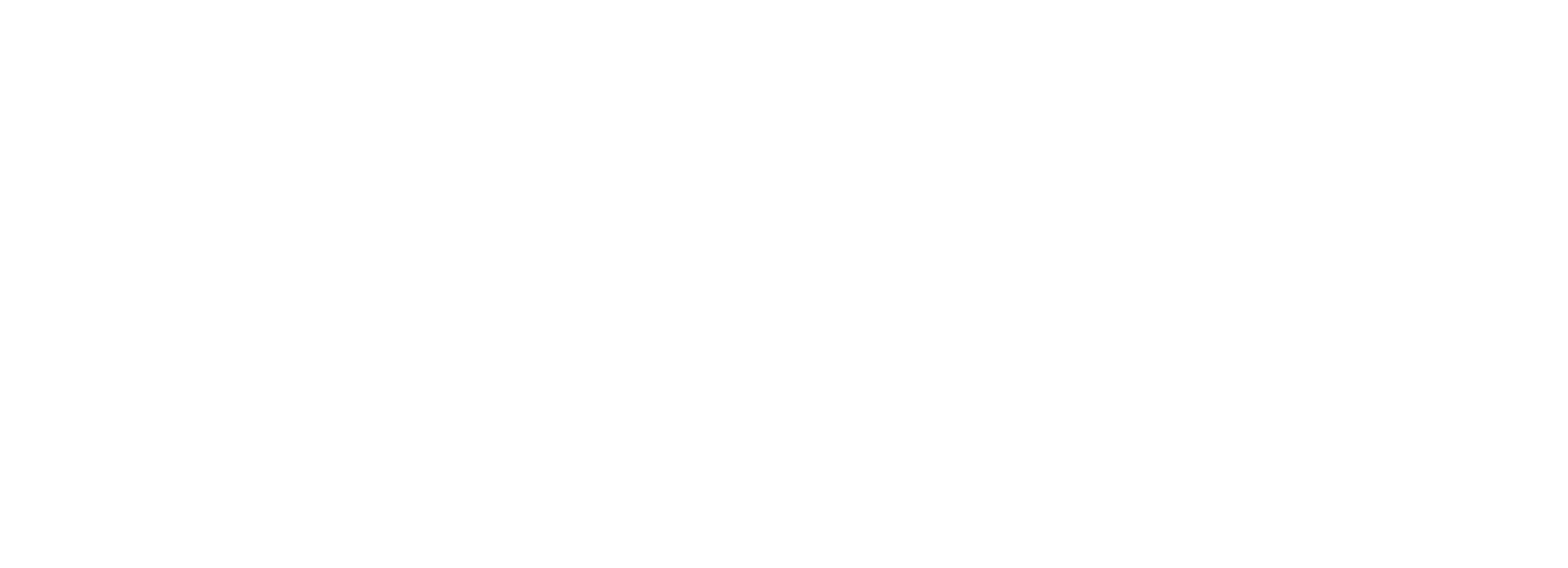 Stanley Electric
