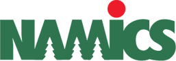 NAMICS logo